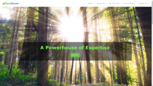 Planet Renew Energy Services Website Design