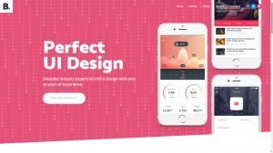 Pune-Website-Designs-UI-Design-Website-Demo